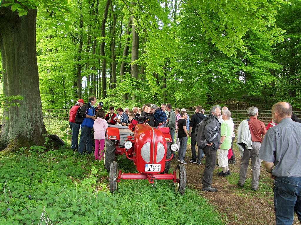 032 Waldesch, mai 2013(Photos Christine Vaissiere)